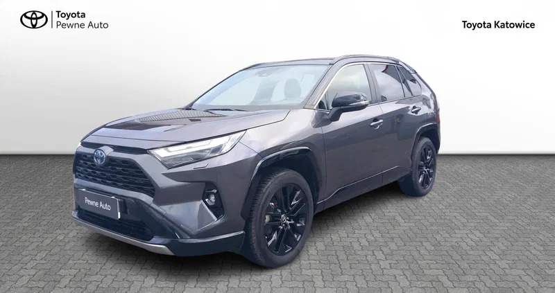 toyota rav4 żychlin Toyota RAV4 cena 184900 przebieg: 13618, rok produkcji 2022 z Żychlin